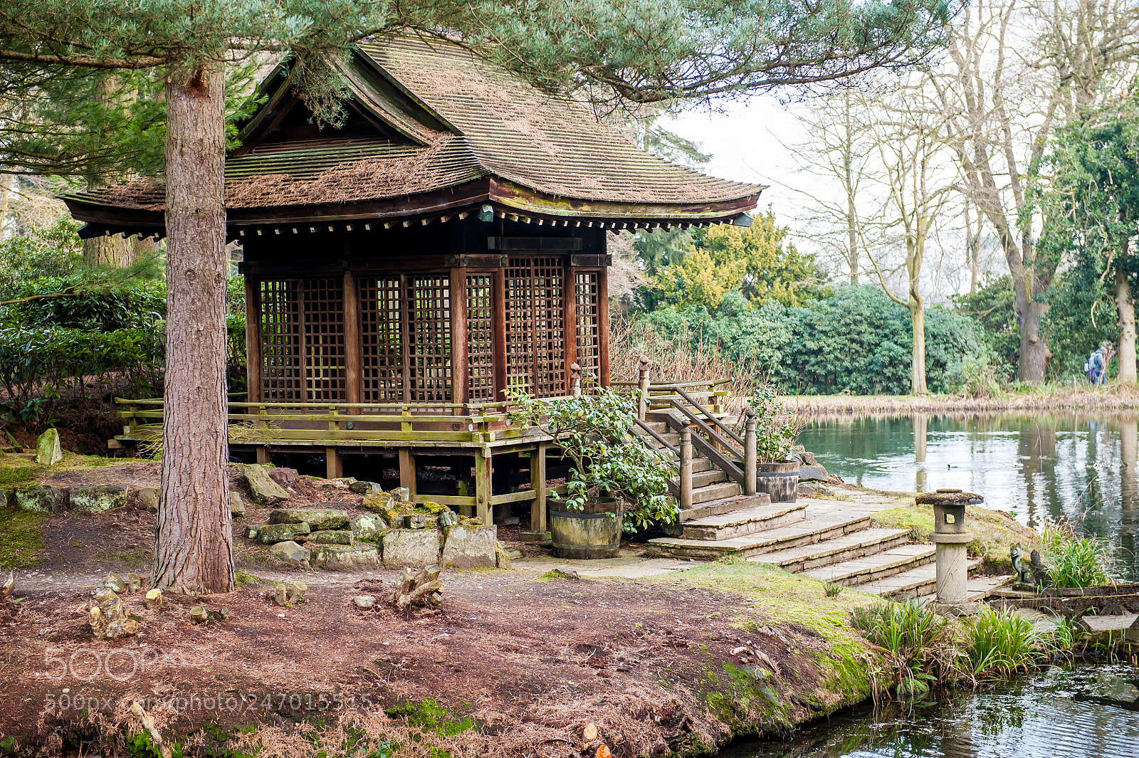 Nikon D3 sample photo. Tatton in winter i photography