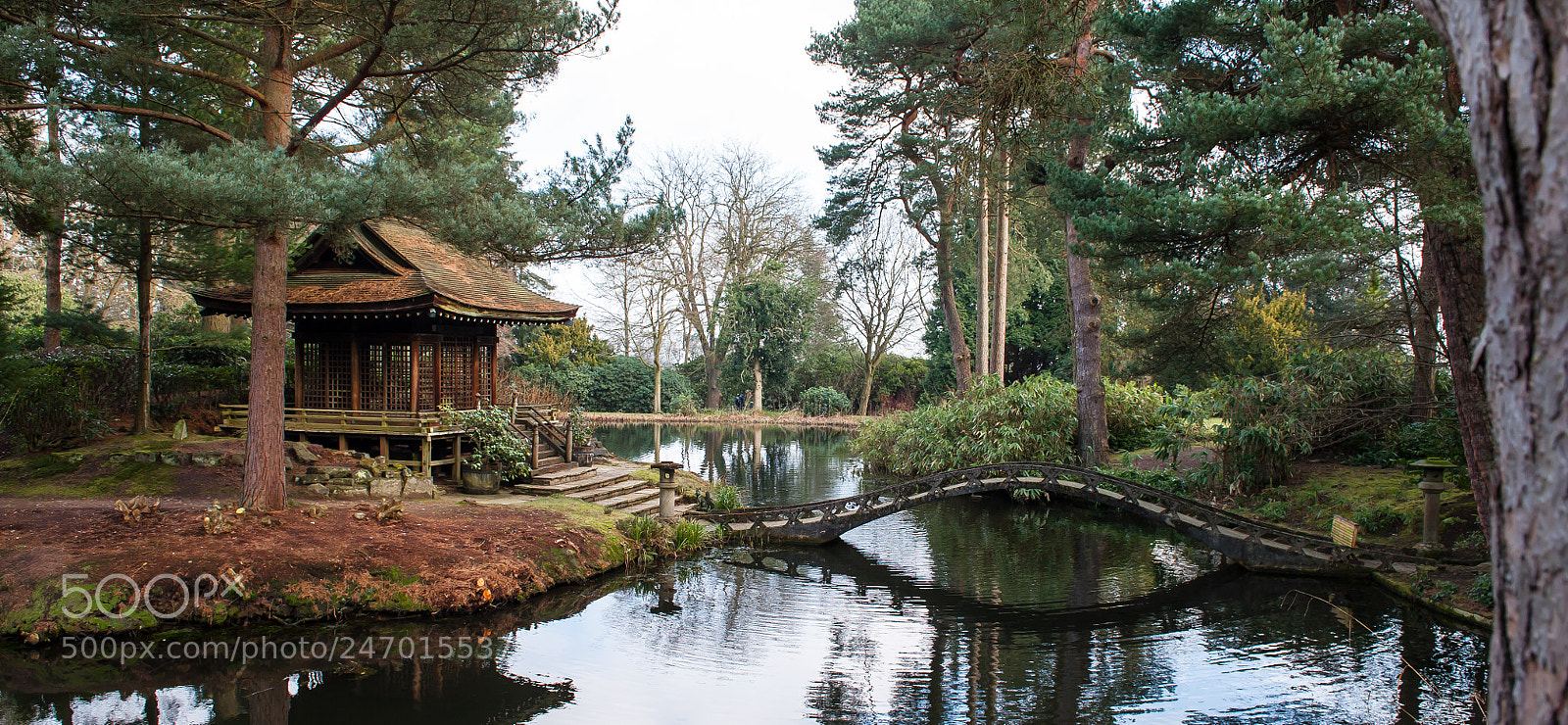 Nikon D3 sample photo. Tatton in winter iii photography