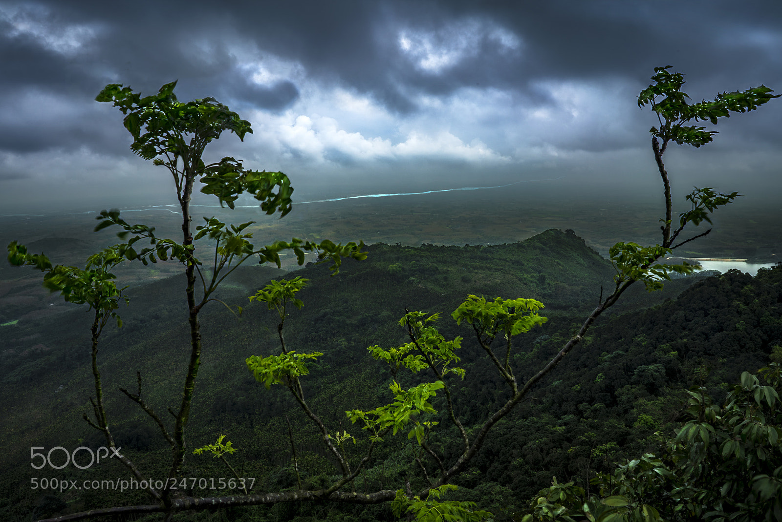 Sony a7R II sample photo. Foggy cyan photography