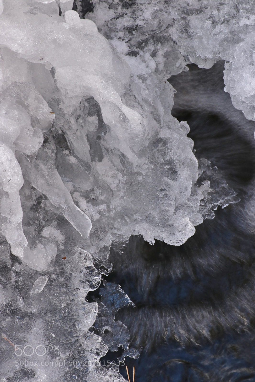 Canon EOS 80D sample photo. Ice iris photography