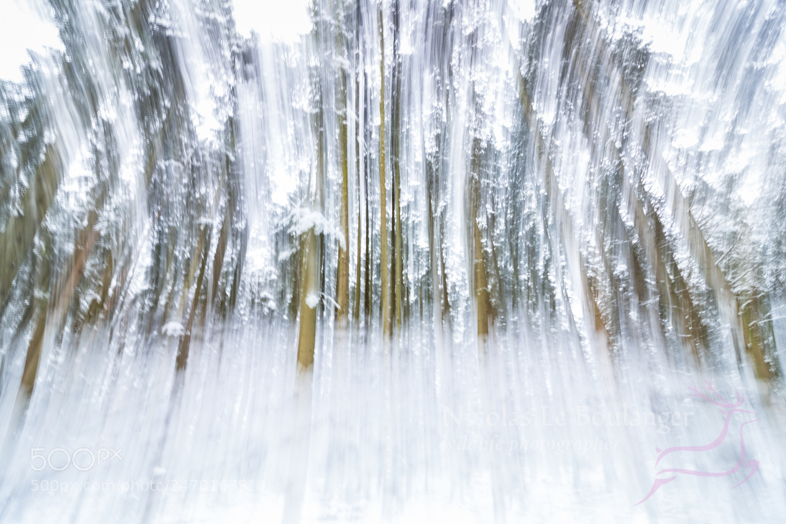 Canon EOS 80D sample photo. Abstraction photography
