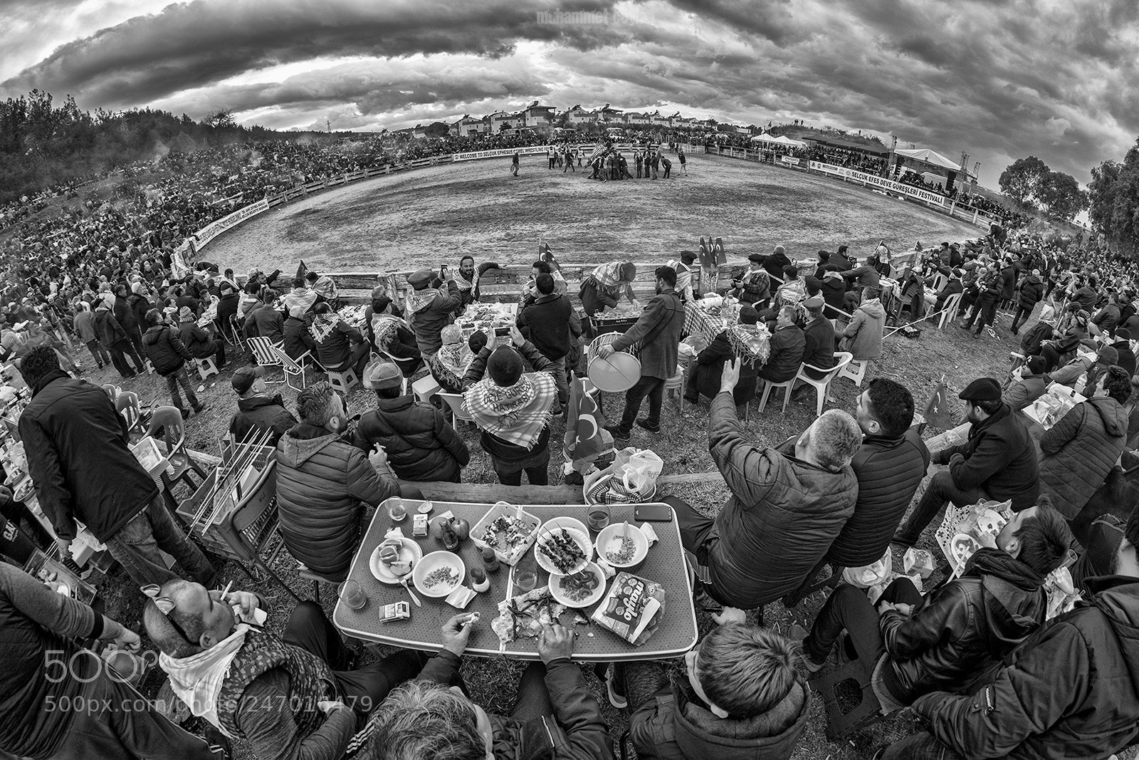 Fujifilm X-T2 sample photo. Camel wrestling festival photography