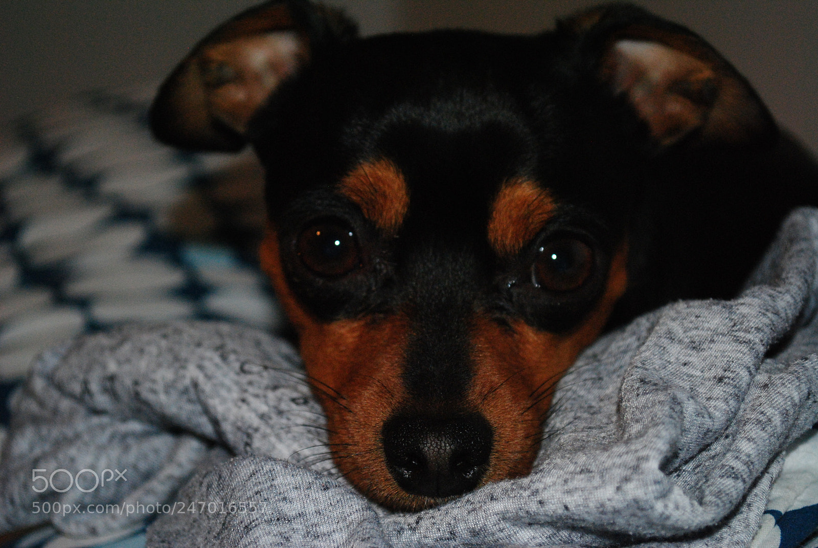 Nikon D3000 sample photo. Untitled photography