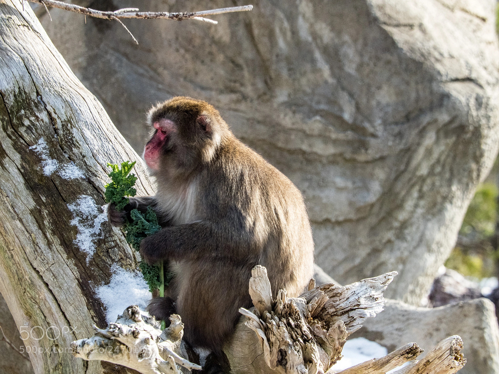 Olympus OM-D E-M5 II sample photo. Mealtime meditation photography