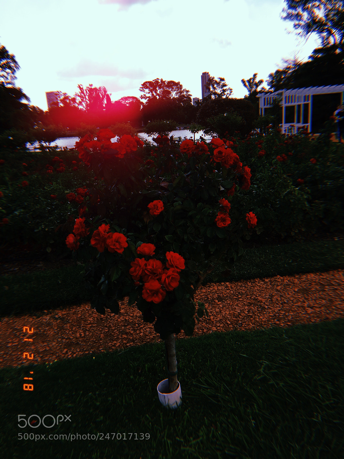Apple iPhone sample photo. Untitled photography