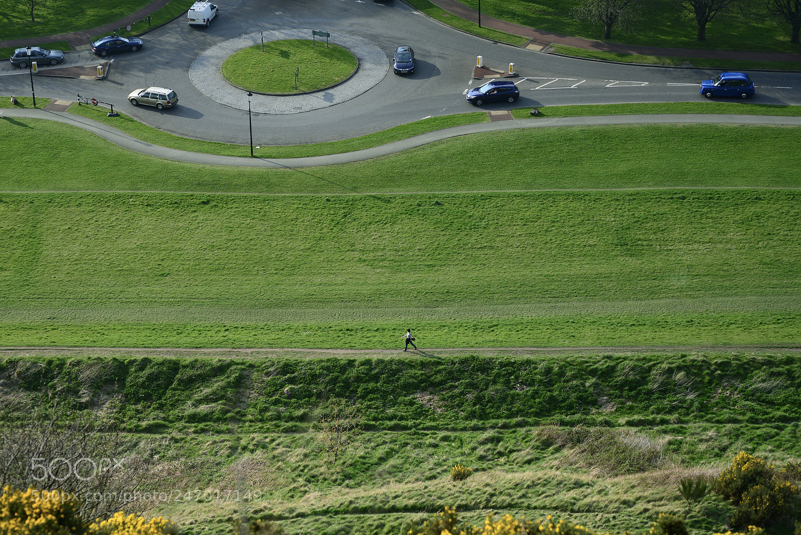 Nikon D600 sample photo. Walking alone in the photography