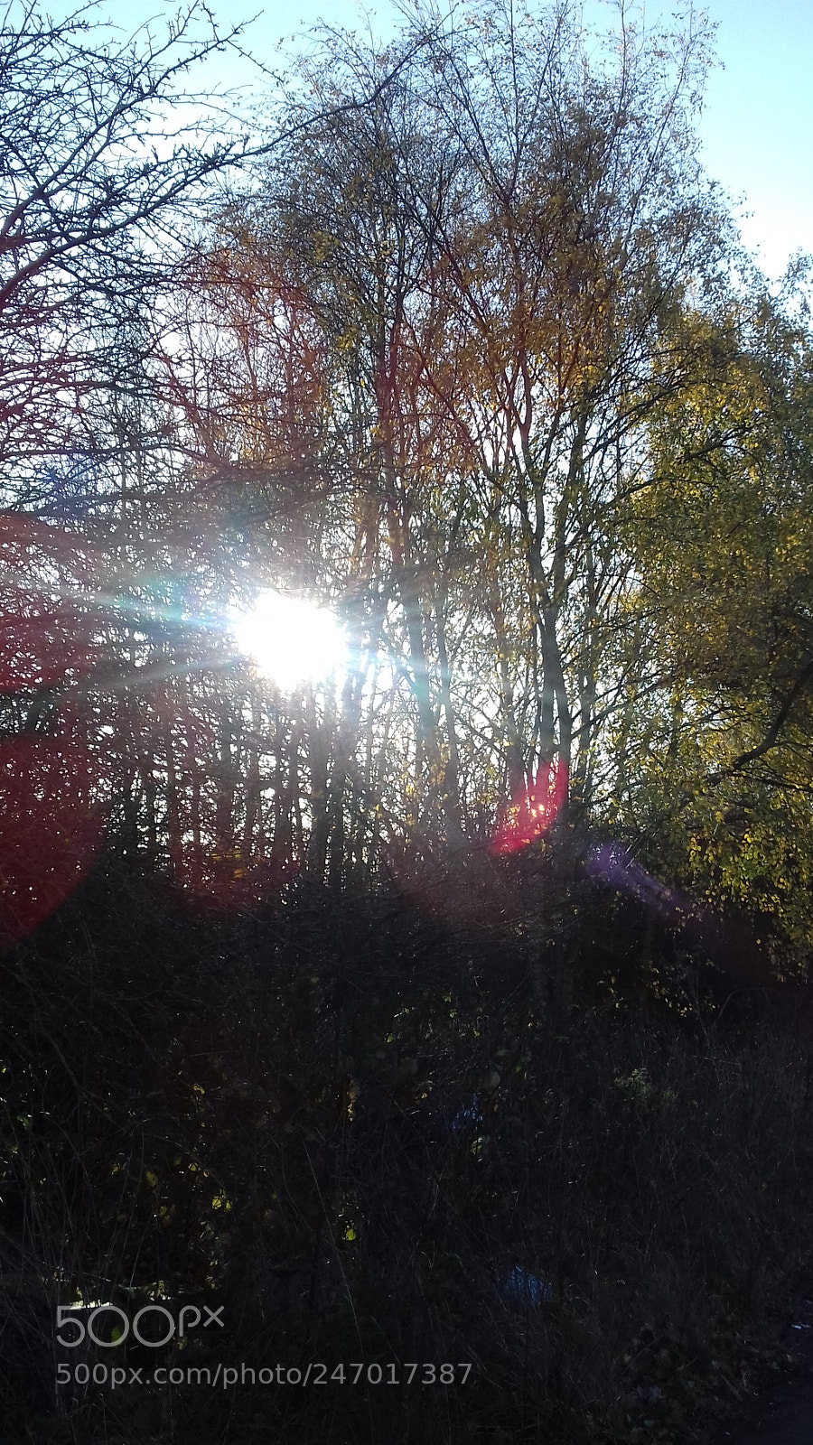 Samsung Galaxy J3(2016) sample photo. Sun's beauty photography