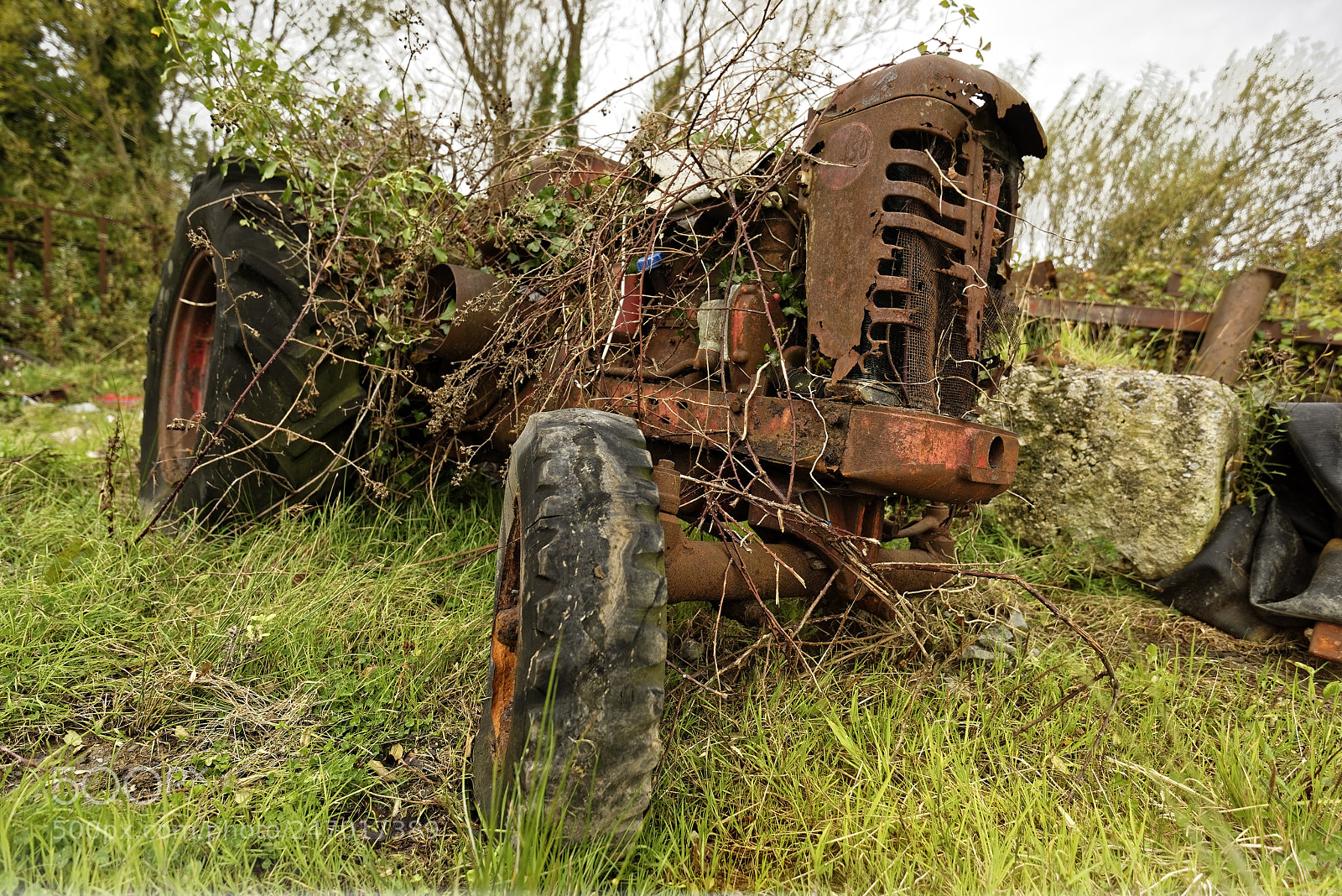 Nikon D810 sample photo. Ancient tractor photography