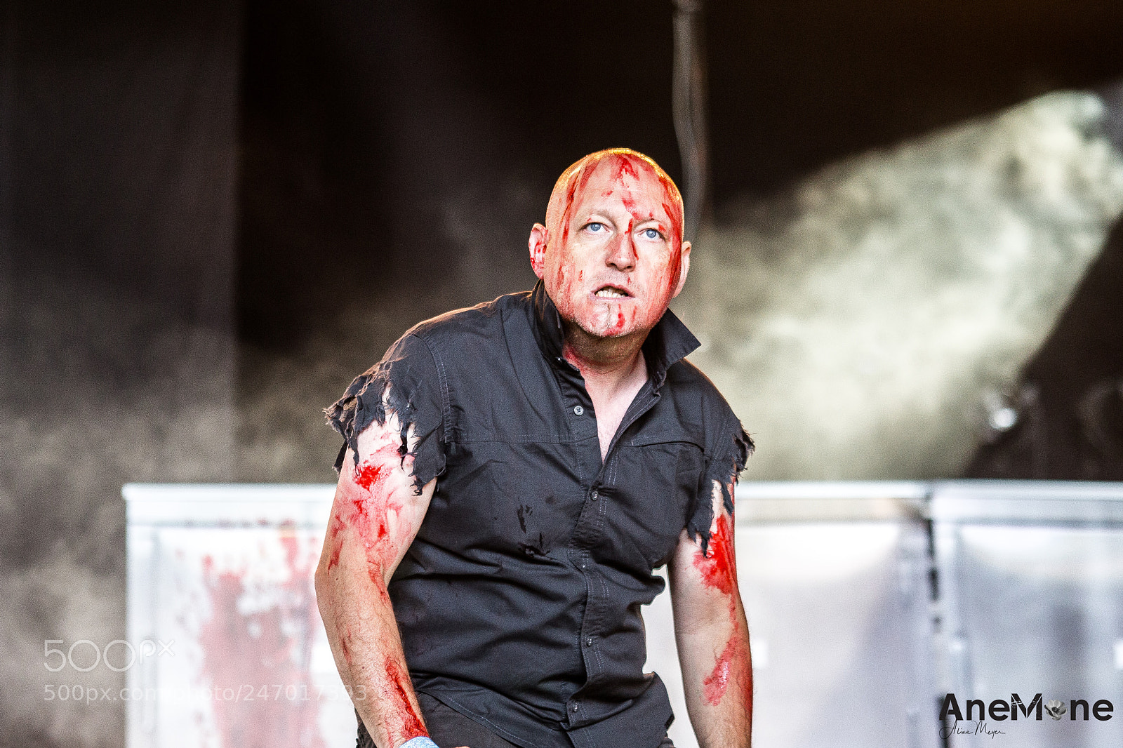 Canon EOS-1D X sample photo. Putrid offal photography