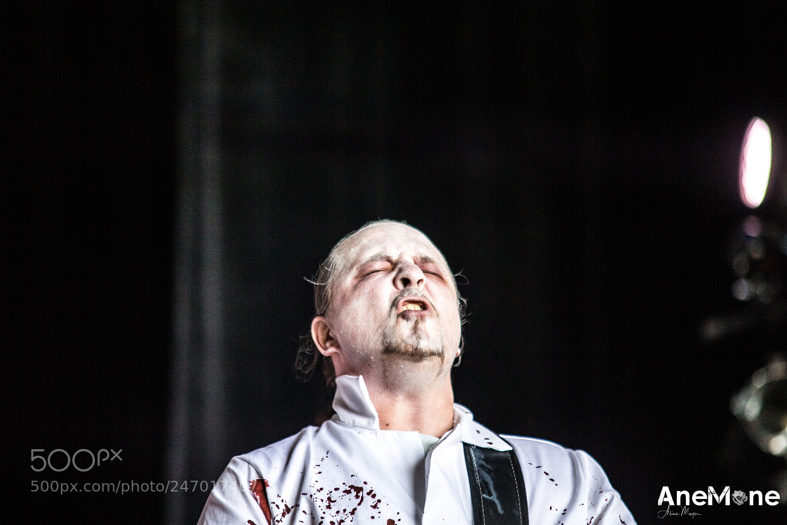 Canon EOS-1D X sample photo. Putrid offal photography