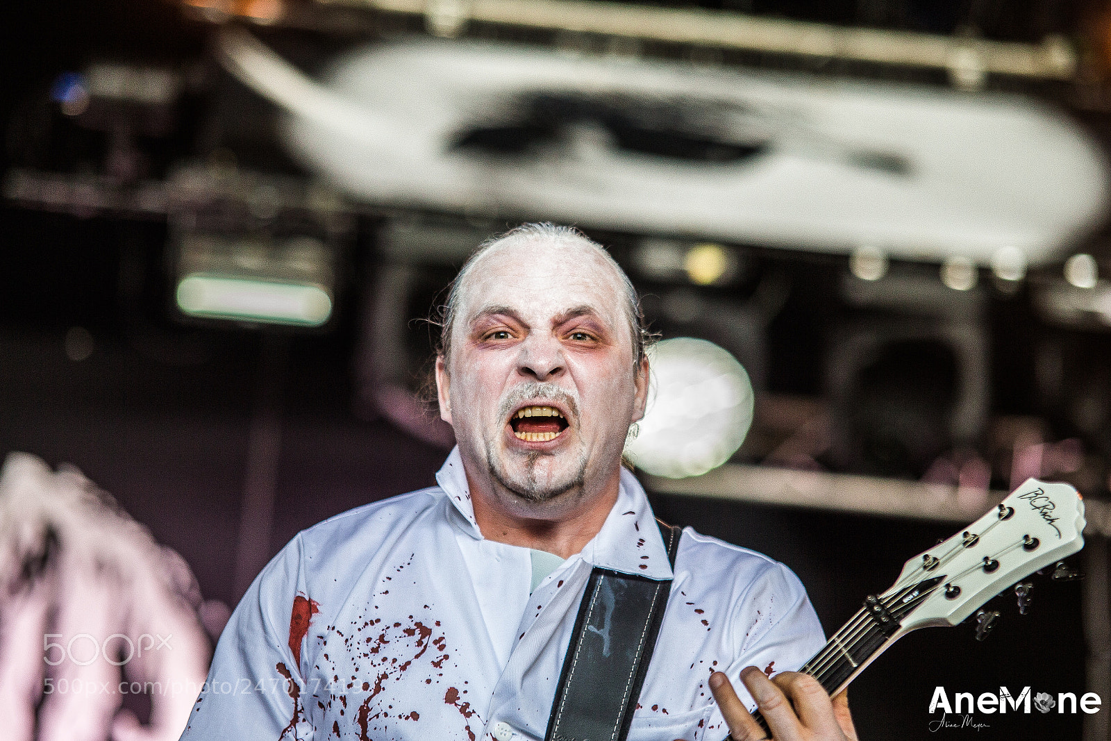 Canon EOS-1D X sample photo. Putrid offal photography