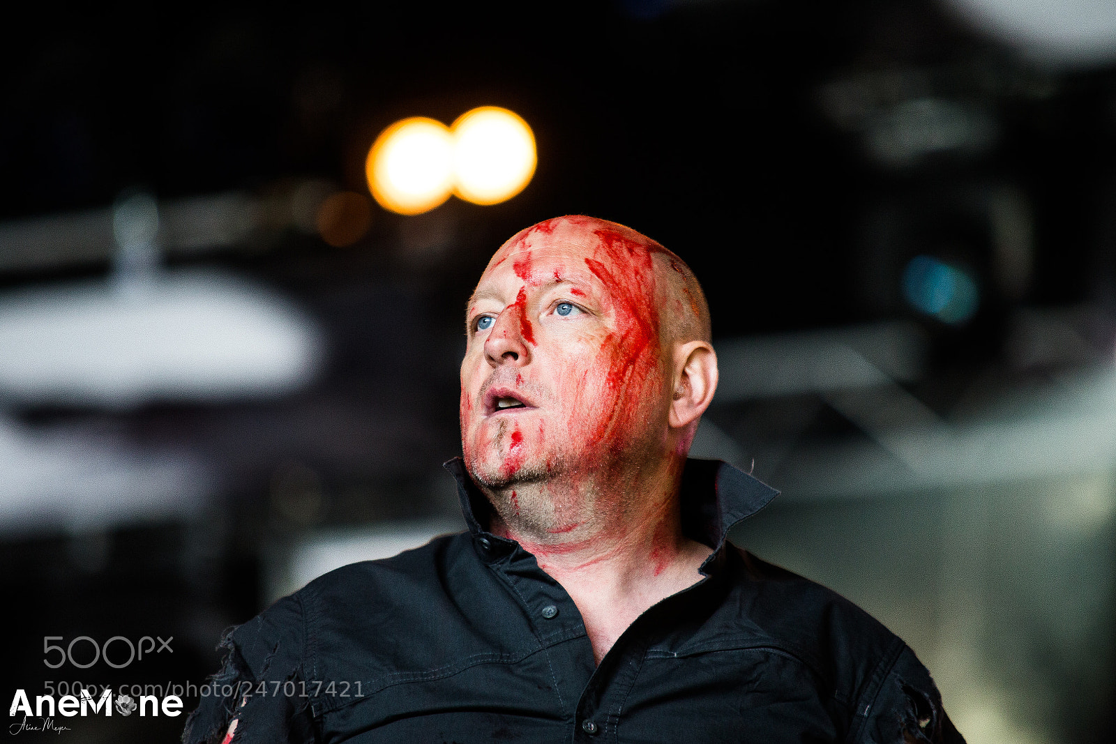 Canon EOS-1D X sample photo. Putrid offal photography