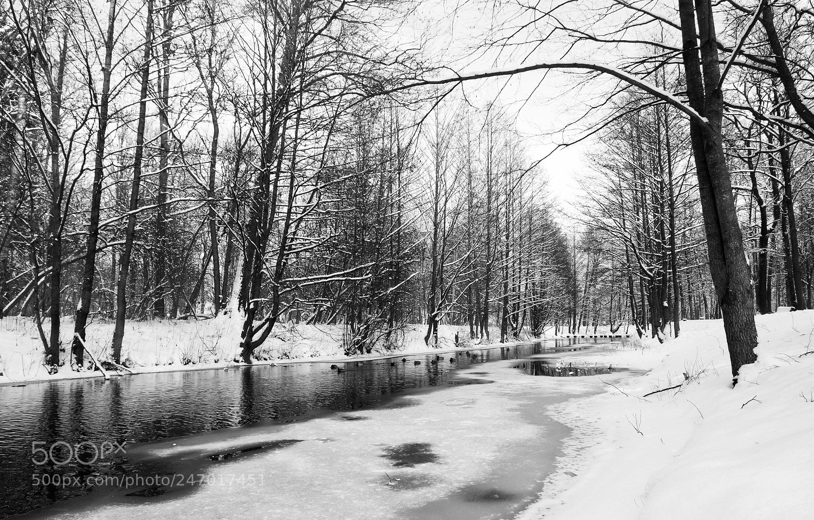 Canon EOS 80D sample photo. Winter day photography
