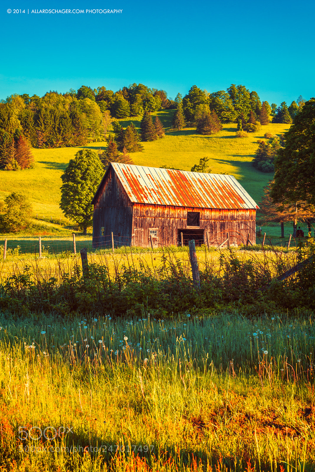 Nikon D800 sample photo. Vermont's finest photography