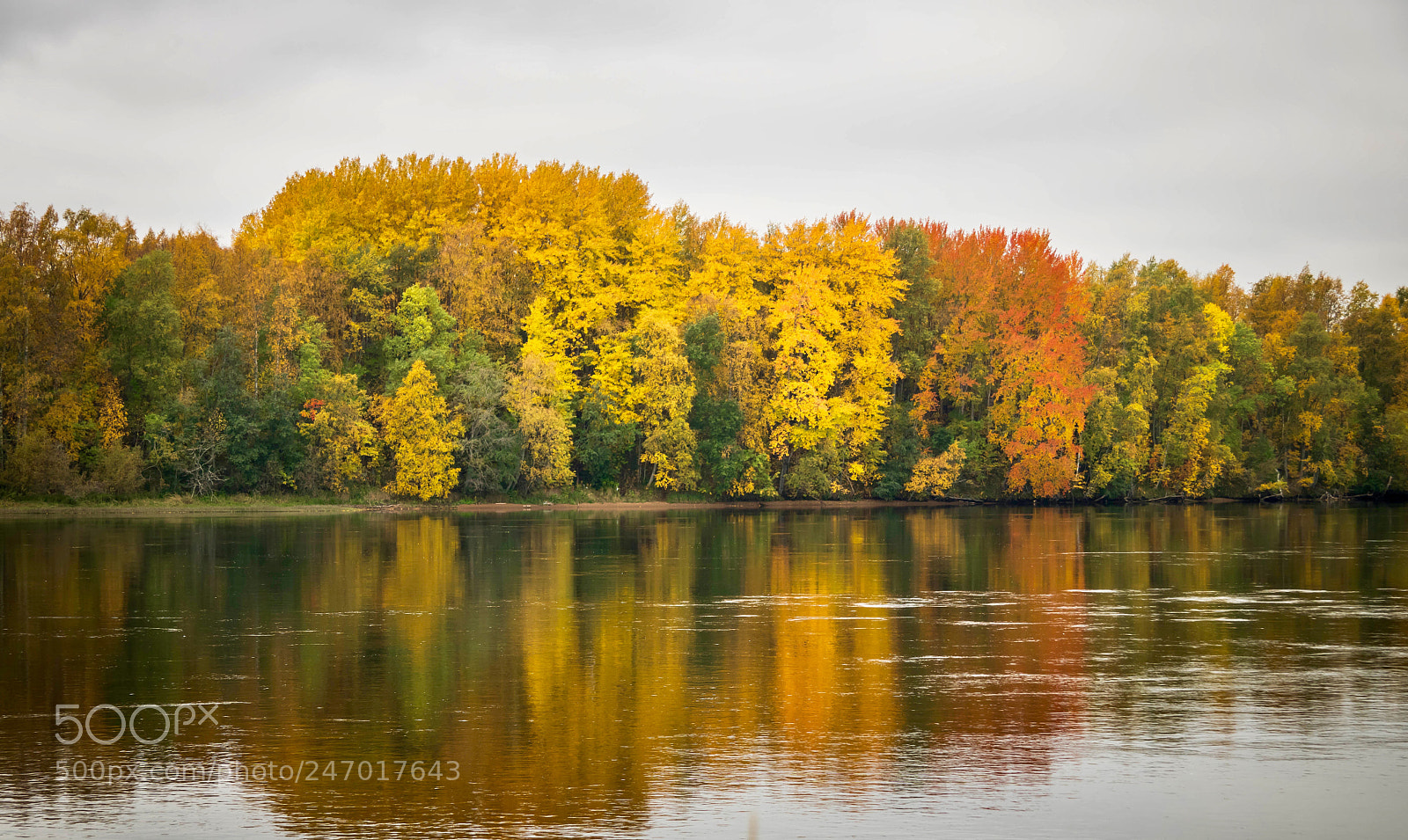 Canon EOS 750D (EOS Rebel T6i / EOS Kiss X8i) sample photo. Autumn beauty photography
