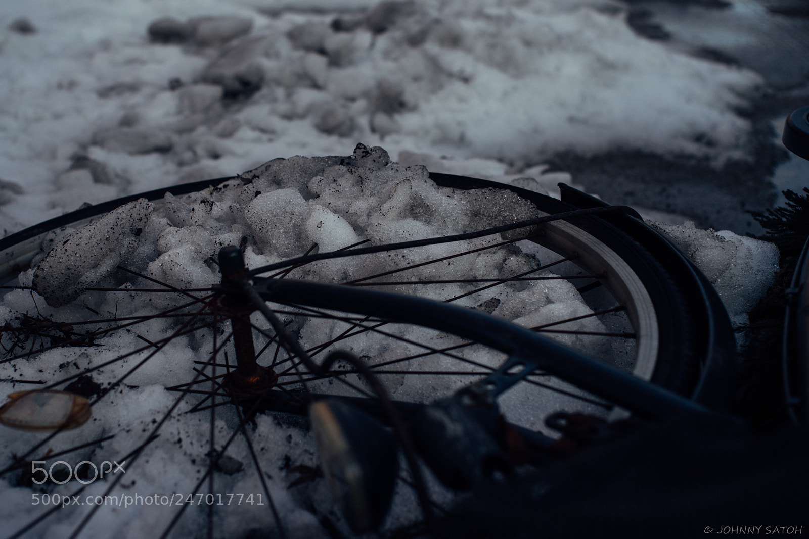 Pentax K-1 sample photo. Fall into snow photography
