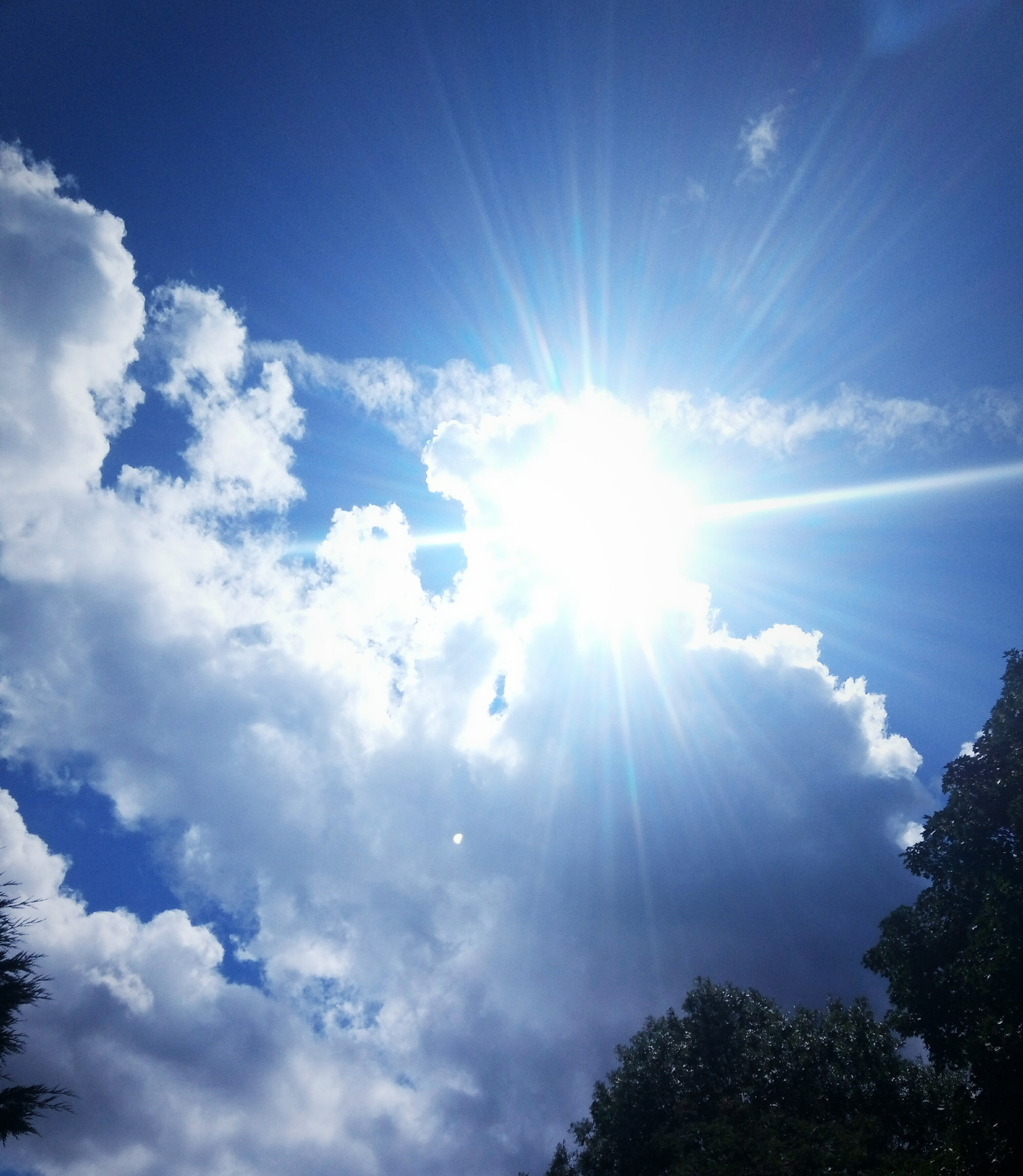 Meizu M5 sample photo. Sunshine photography