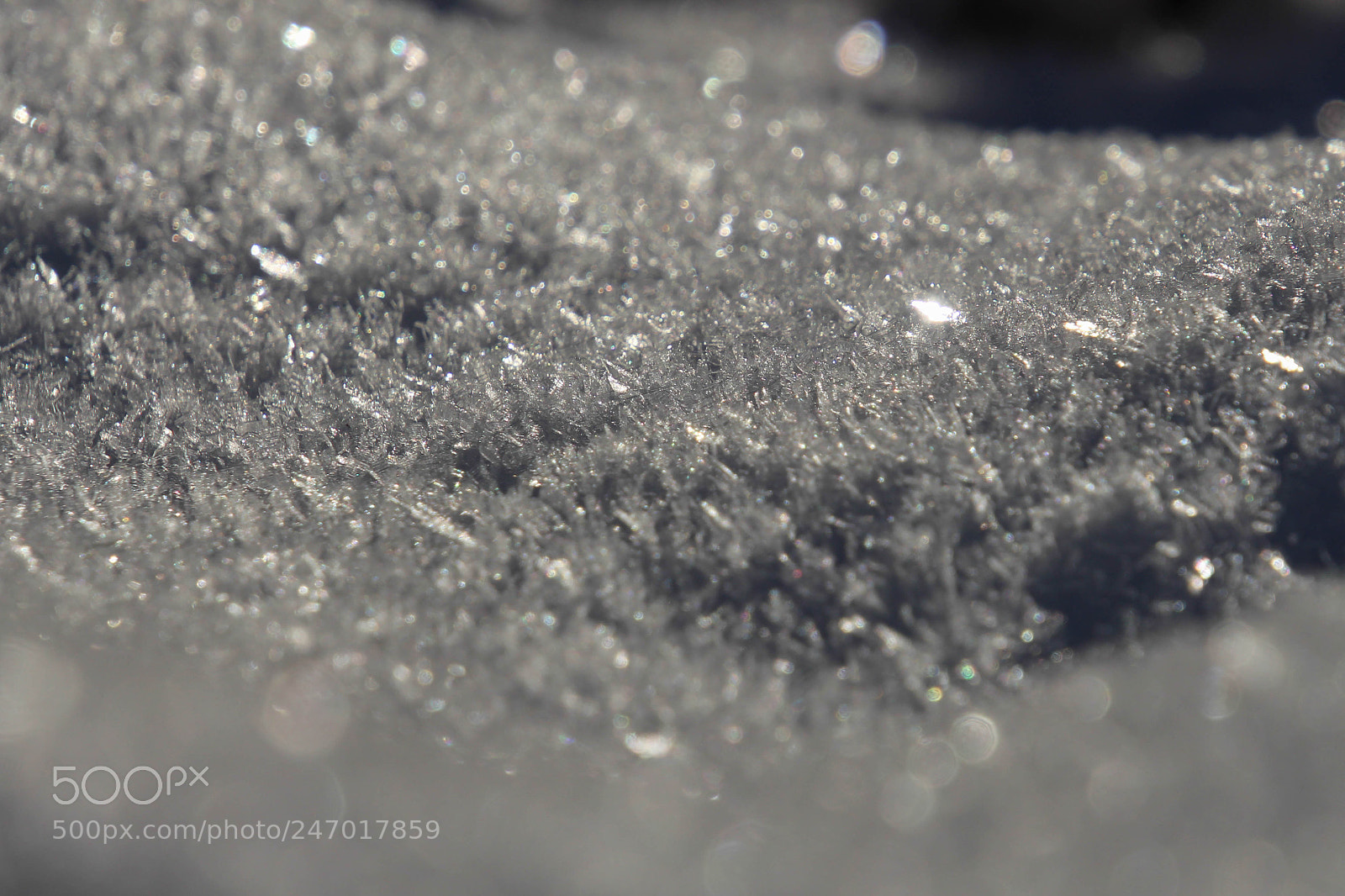 Canon EOS 700D (EOS Rebel T5i / EOS Kiss X7i) sample photo. Snow sparkles photography