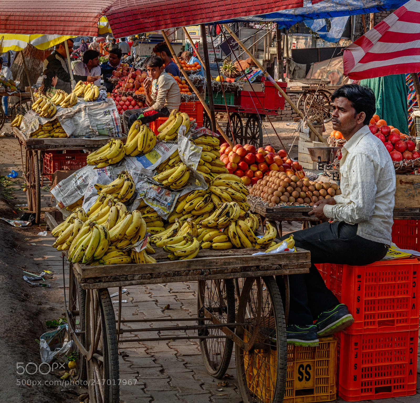 Nikon D850 sample photo. Bananas for sale in photography