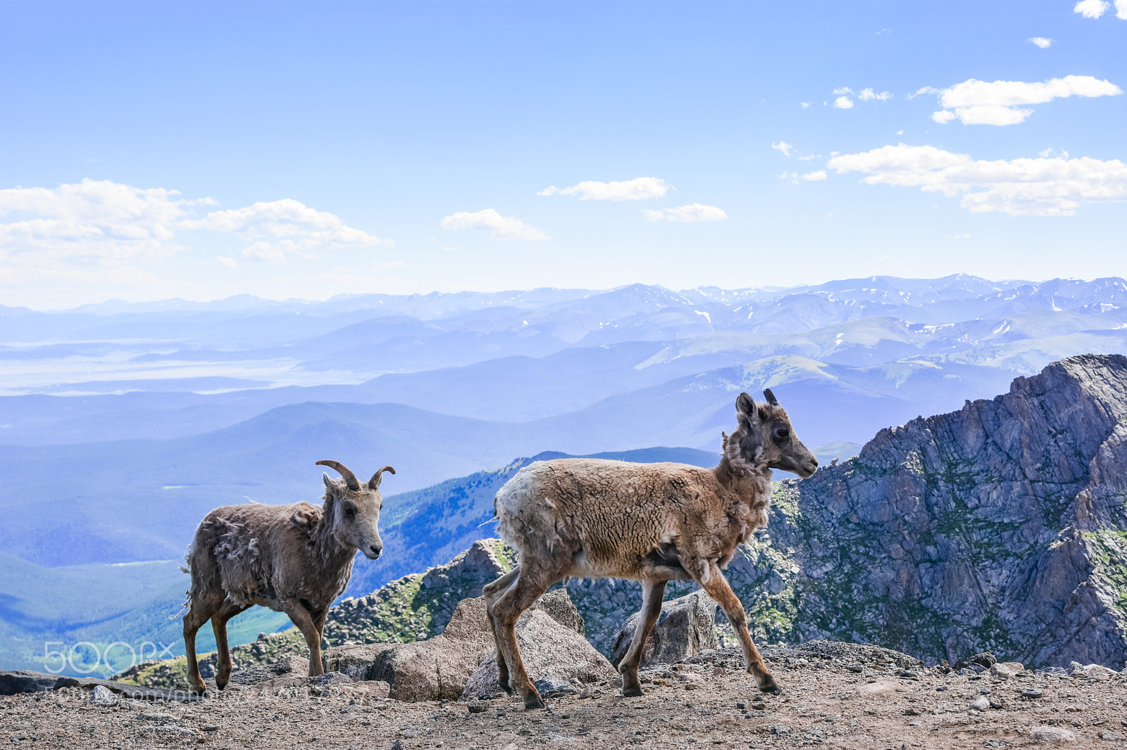 Nikon D7200 sample photo. Mountain top photography