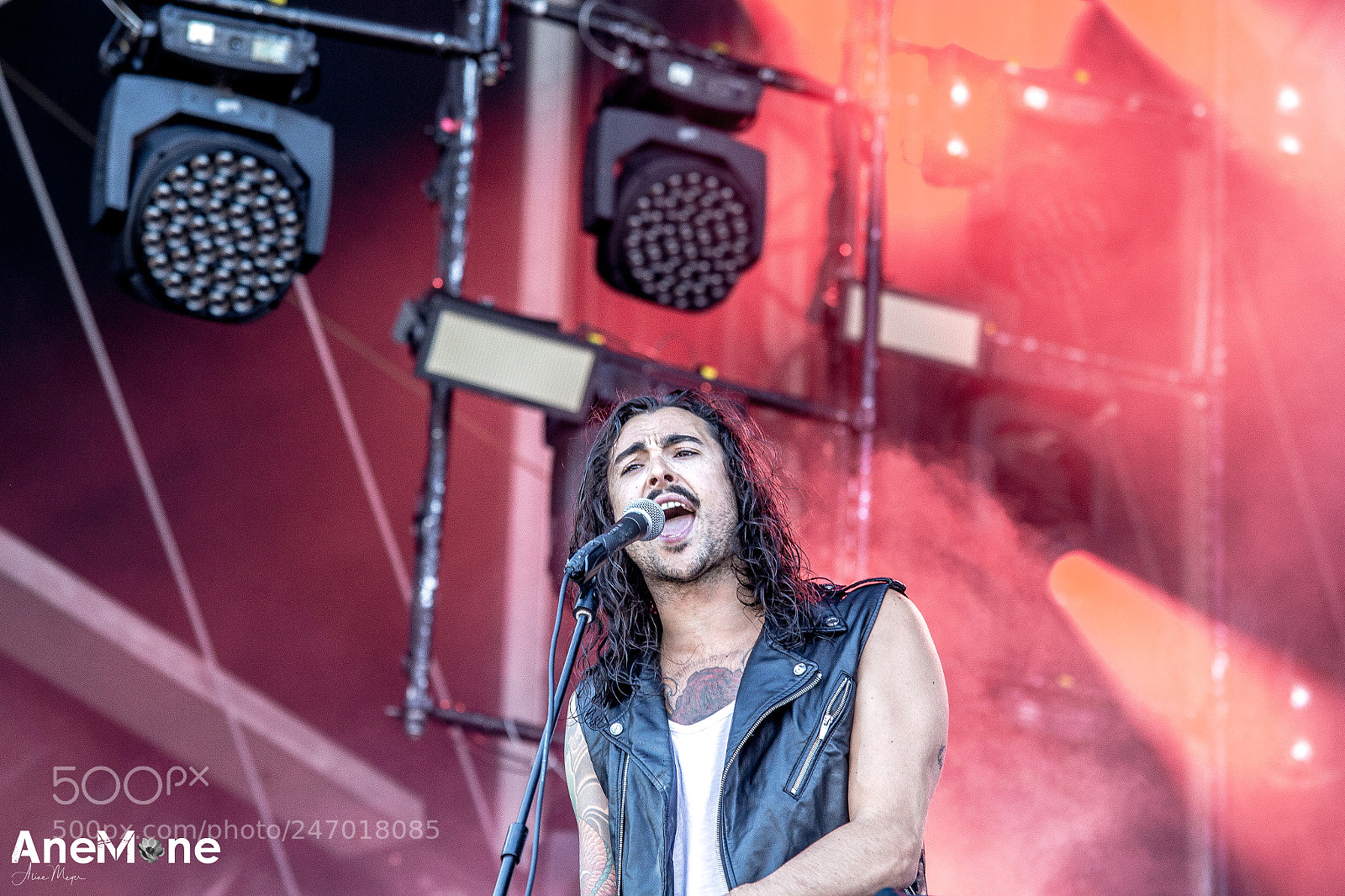 Canon EOS-1D X sample photo. Betraying the martyrs photography