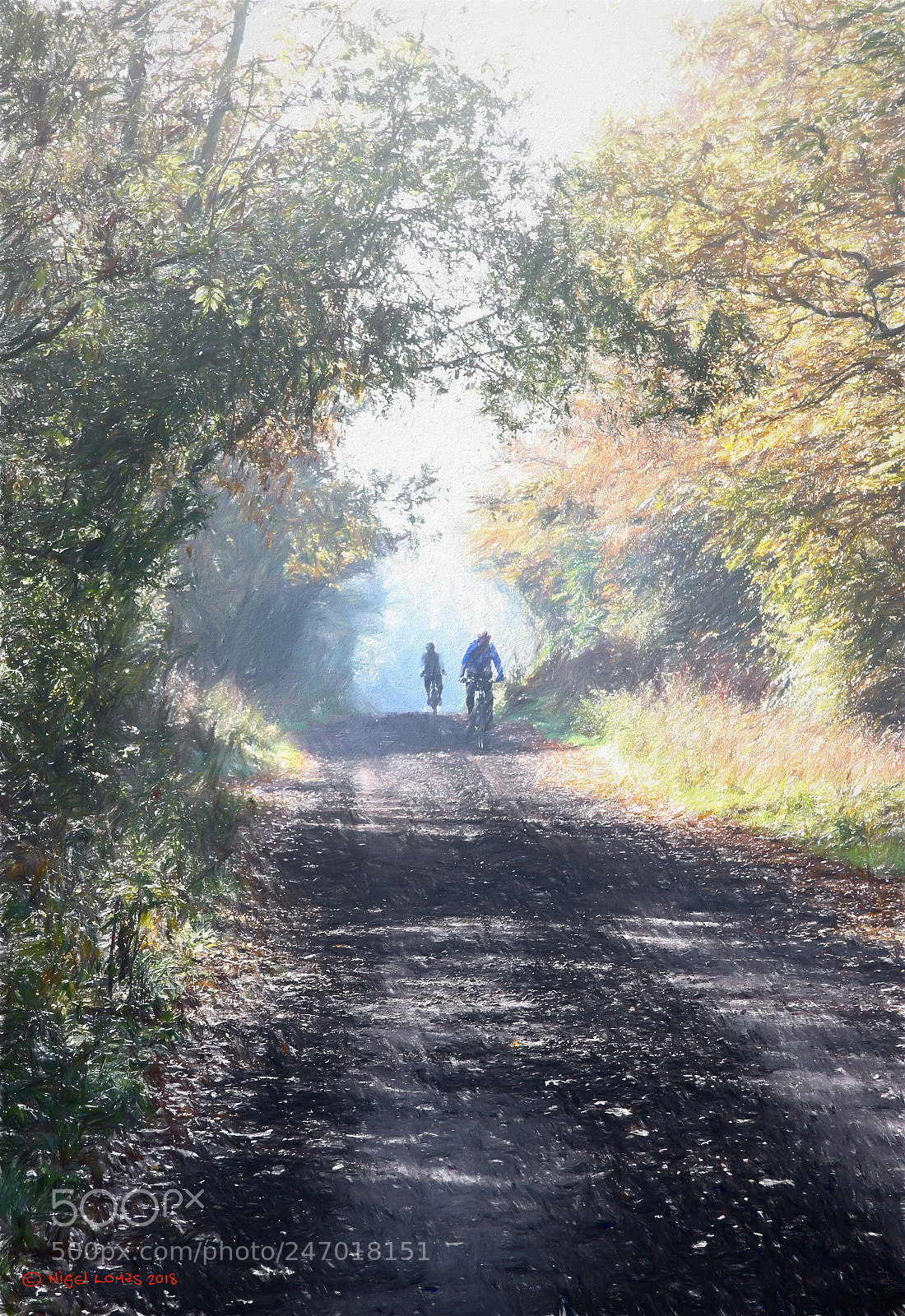 Canon EOS 40D sample photo. Morning ride photography