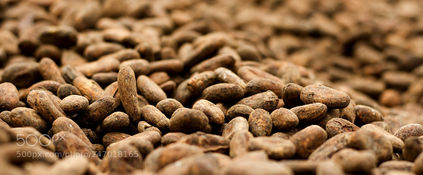 Canon EOS 7D sample photo. Cacao photography