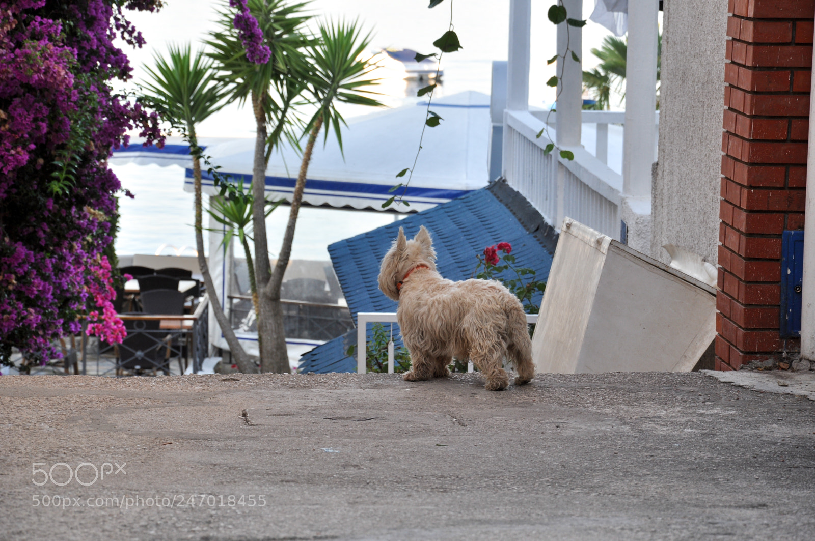 Nikon D5000 sample photo. Early morning in mediterranean photography