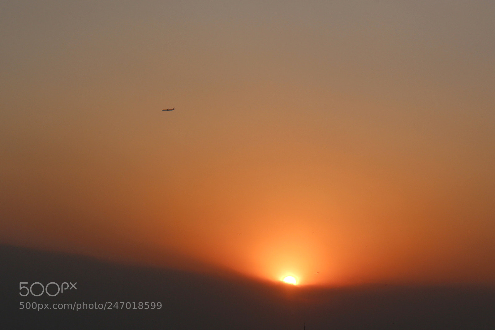 Canon EOS M sample photo. Untitled photography