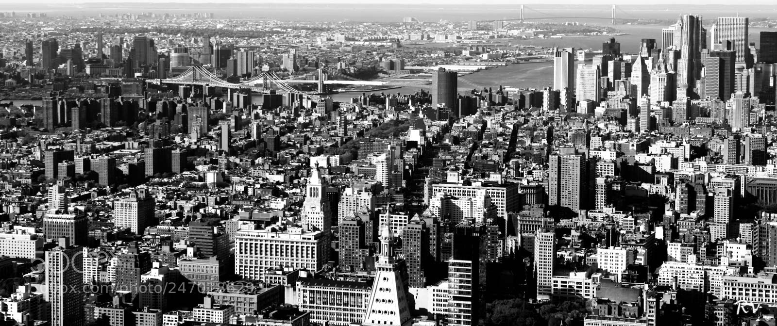 Canon EOS 50D sample photo. Ny view from empire photography