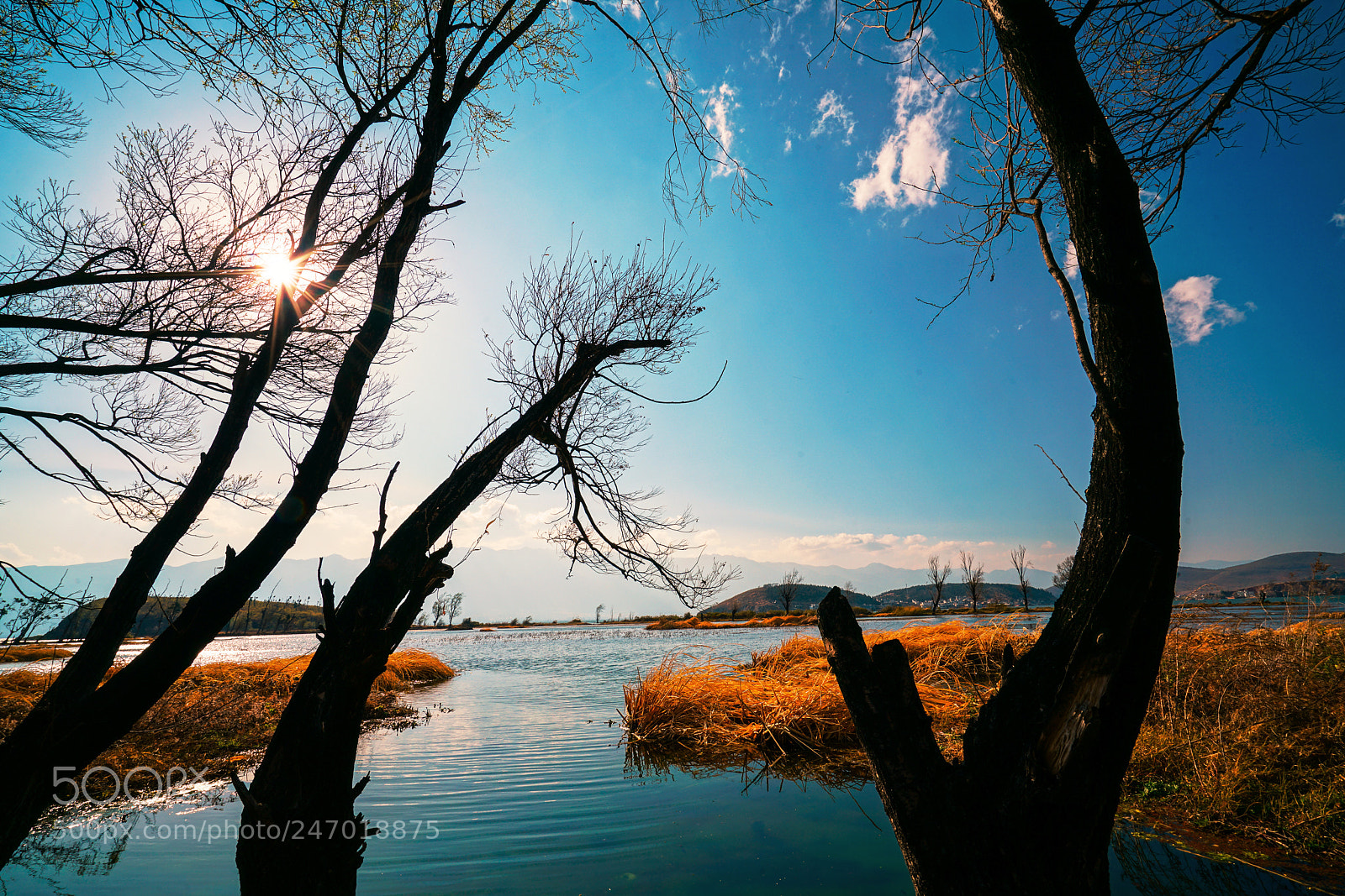 Sony a7R II sample photo. Untitled photography