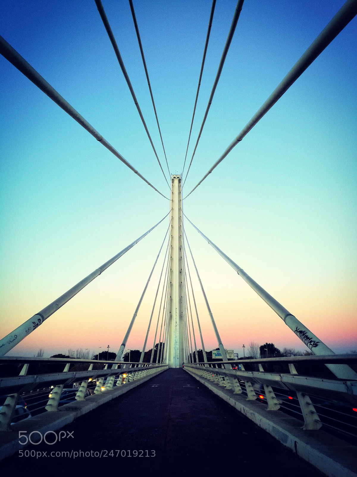 HUAWEI Mate 8 sample photo. Spider bridge photography