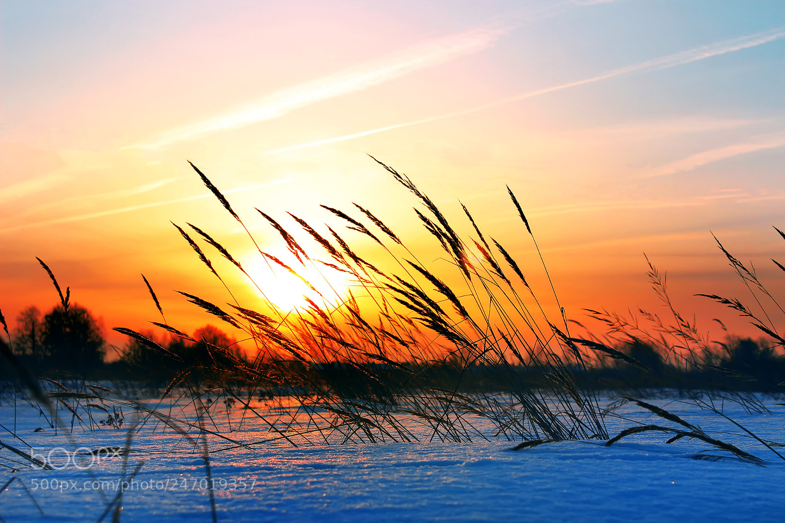 Canon EOS 600D (Rebel EOS T3i / EOS Kiss X5) sample photo. Winter sunrise photography