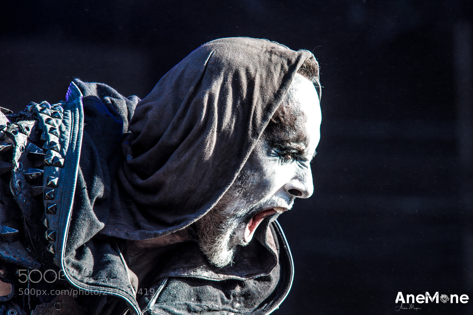 Canon EOS-1D X sample photo. Behemoth photography
