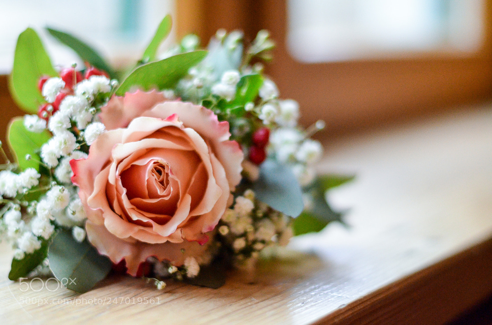 Nikon D5100 sample photo. Flowers photography