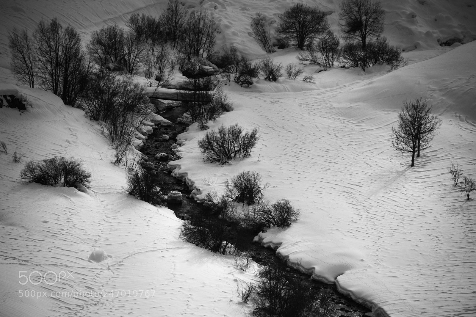 Nikon D7100 sample photo. White creek disentis photography