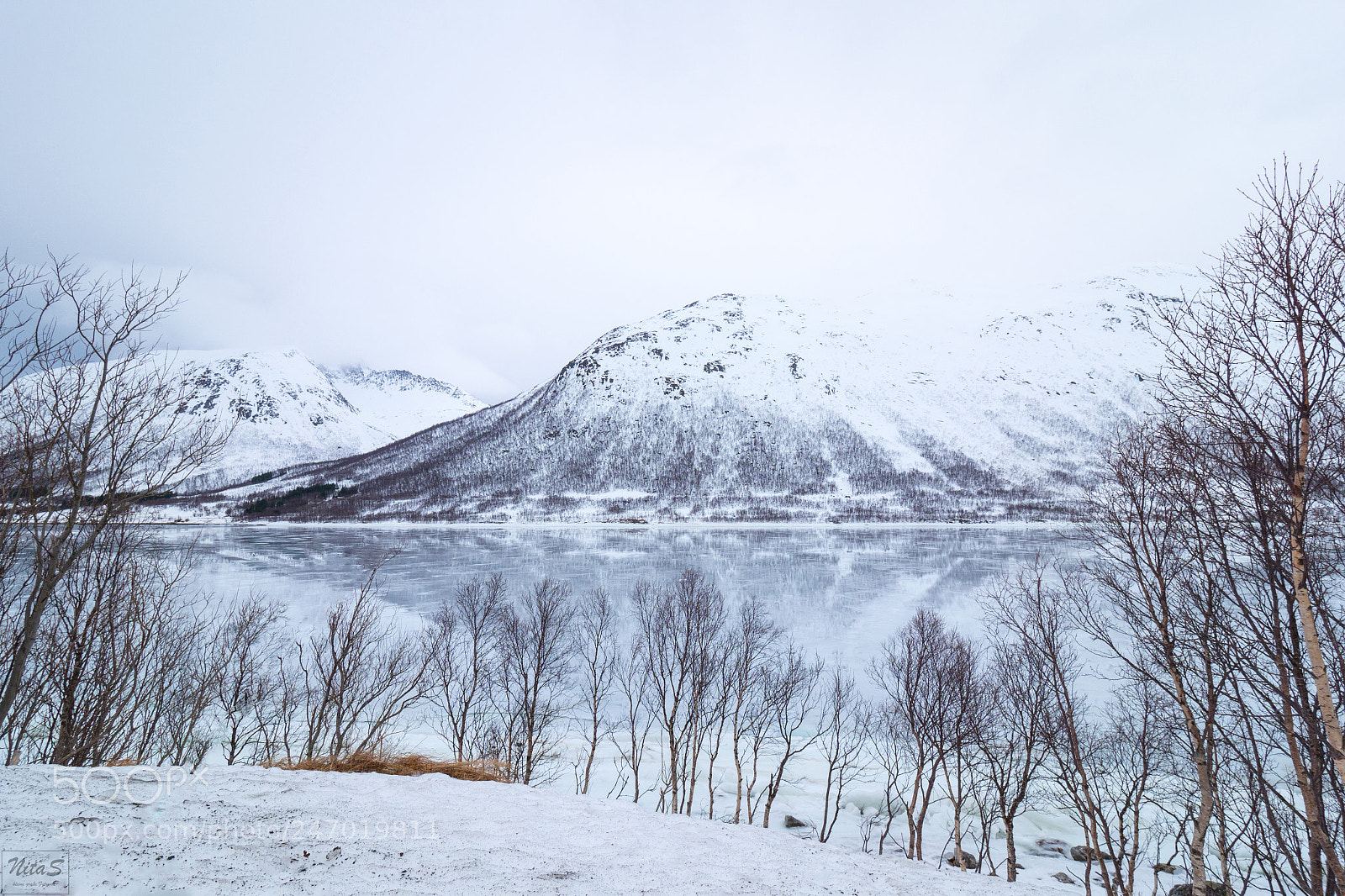 Olympus OM-D E-M1 Mark II sample photo. Fjord mirrored photography