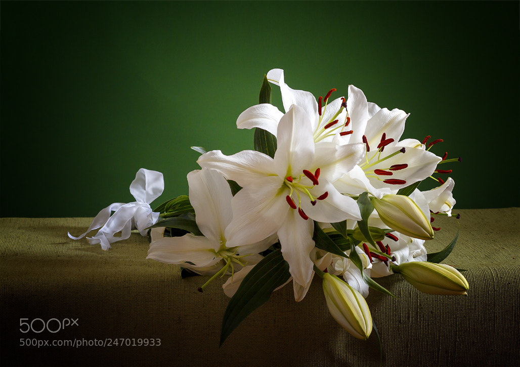 Canon EOS 650D (EOS Rebel T4i / EOS Kiss X6i) sample photo. Лилии)) photography