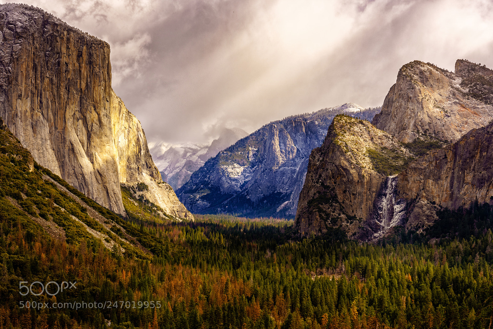 Sony a7R II sample photo. Tunnel view in february photography