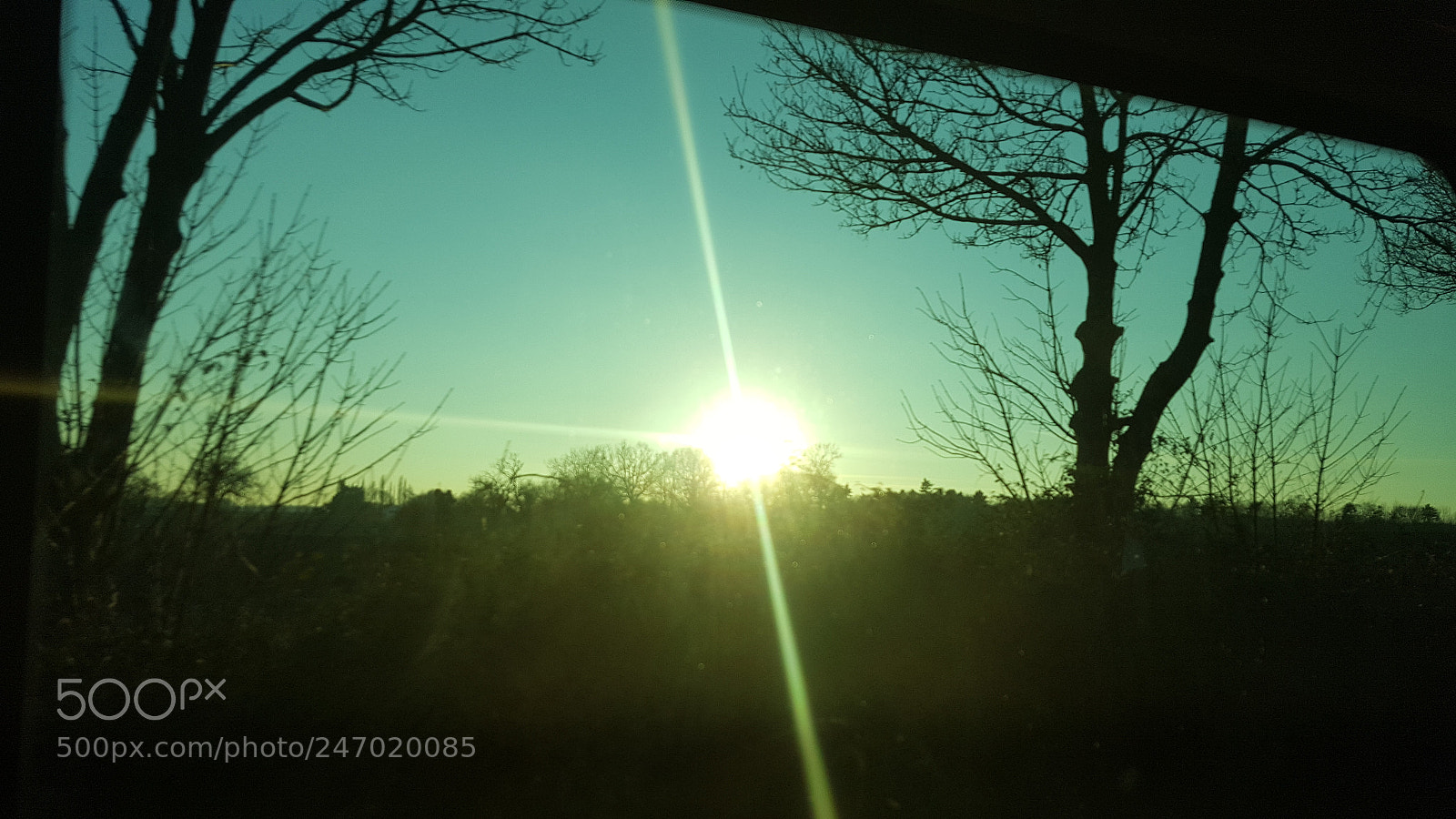 Samsung Galaxy S6 sample photo. Field/foresty photogrpahy photography