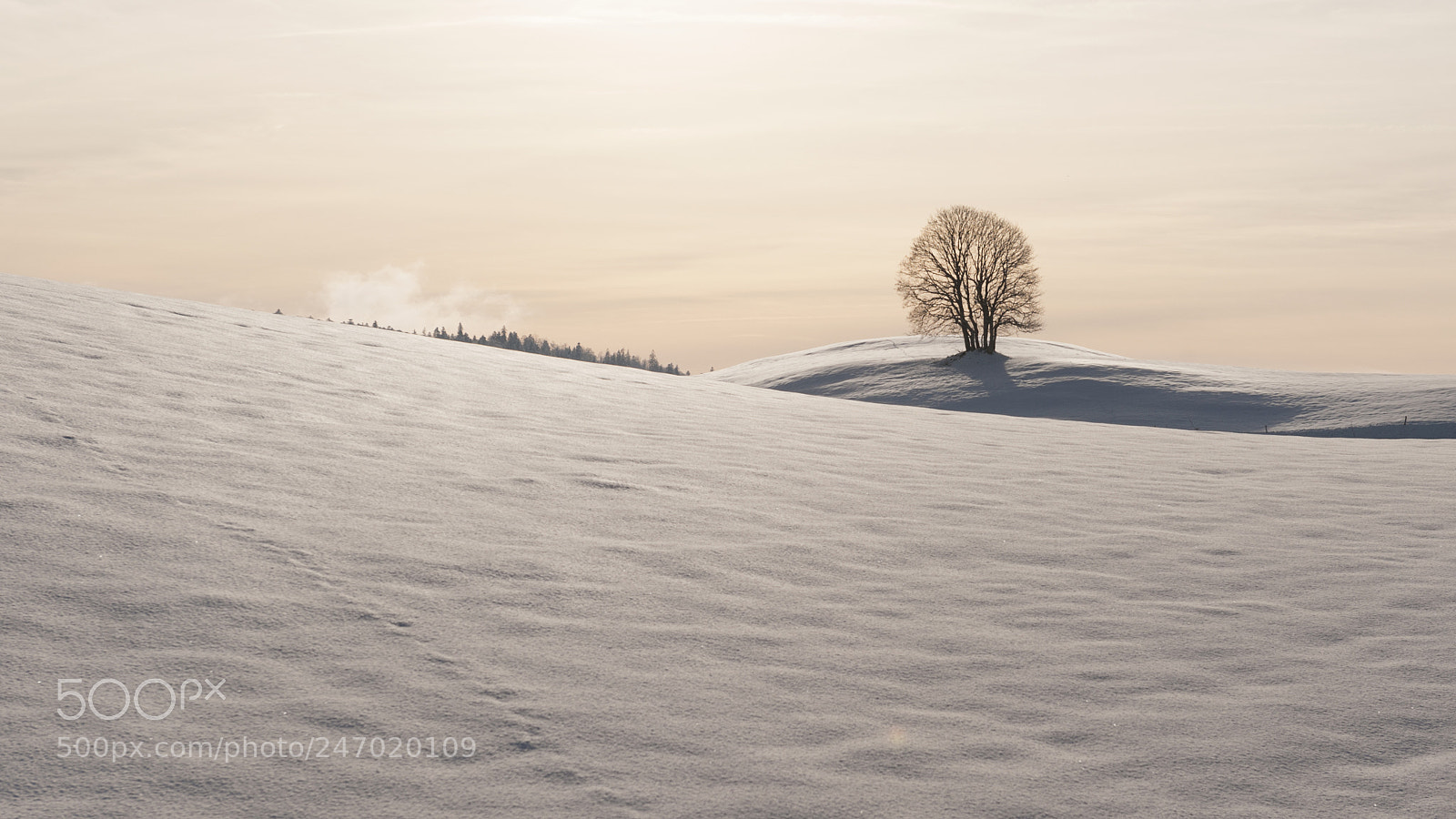 Nikon D700 sample photo. Hiver photography