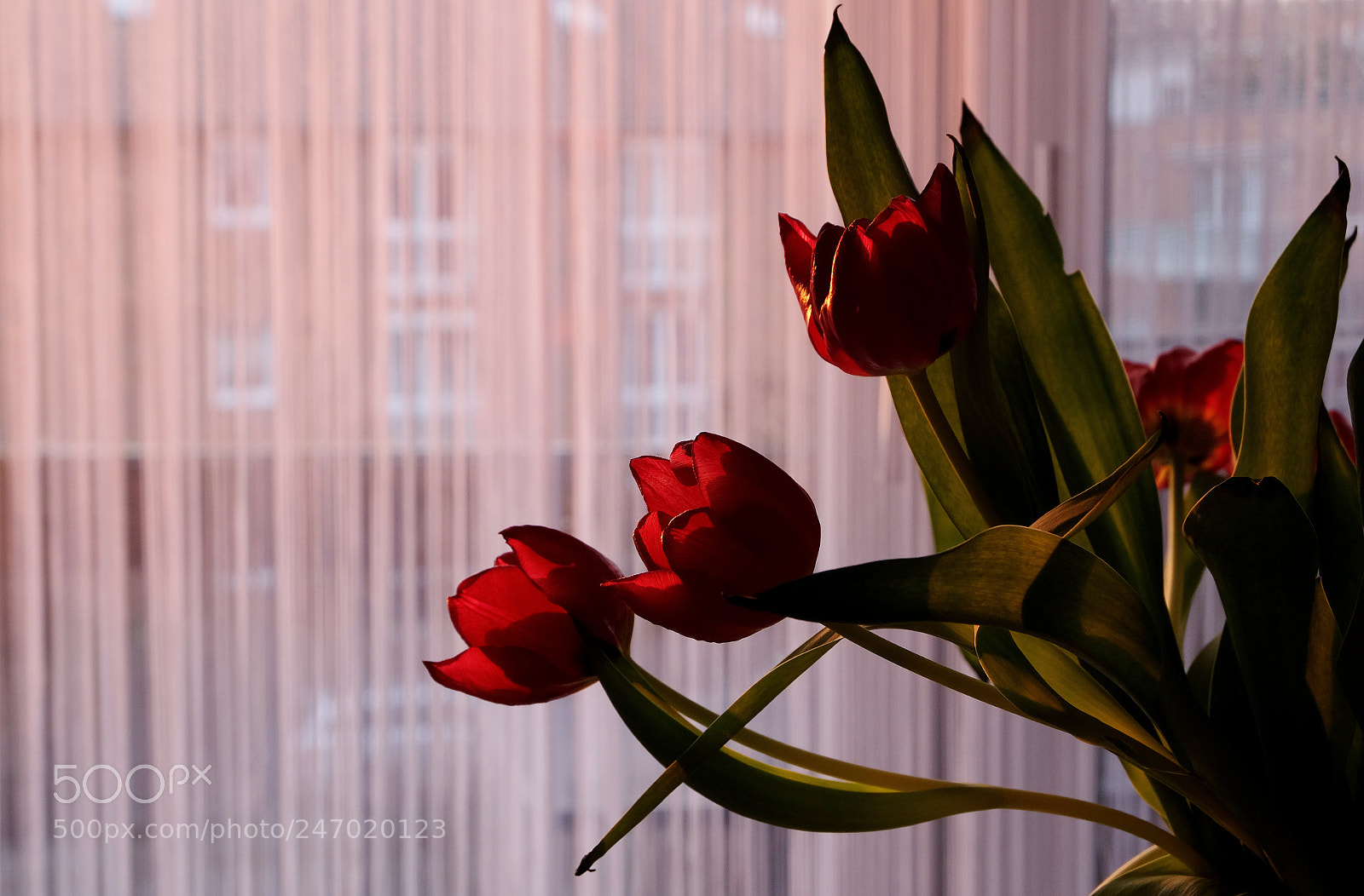 Fujifilm X-M1 sample photo. Evening photography