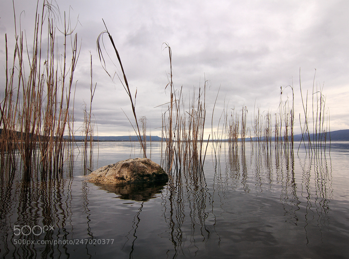 Canon EOS 7D sample photo. Lac volvi photography