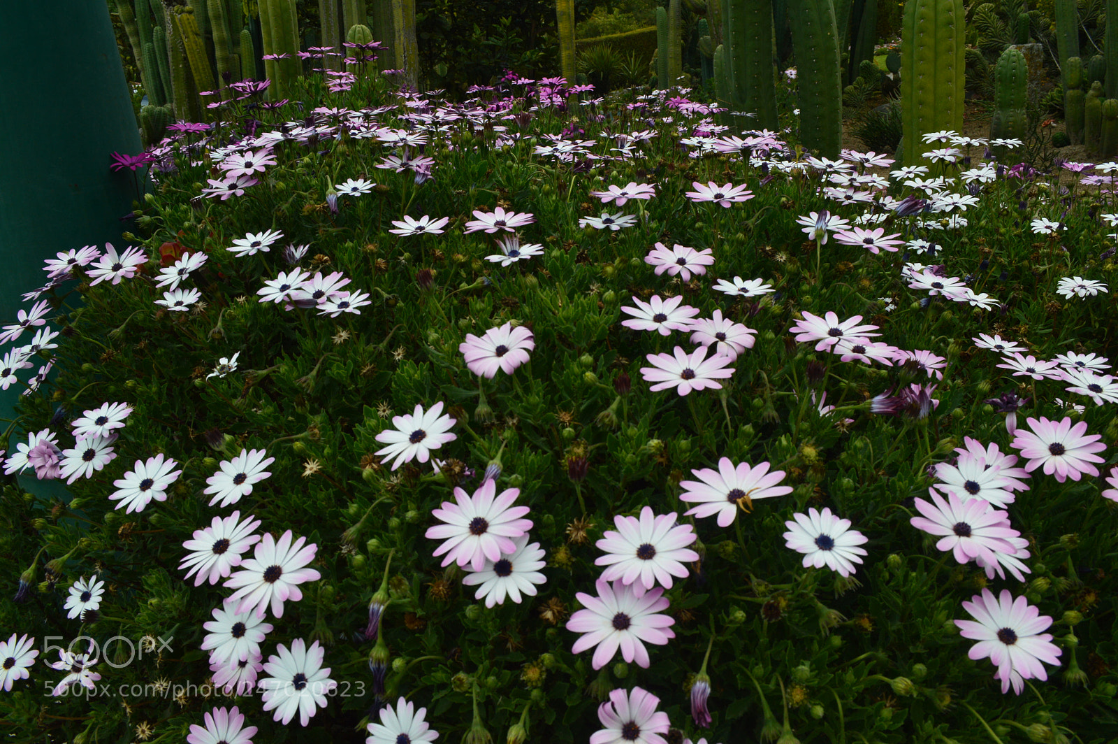 Nikon D3200 sample photo. Dsc photography