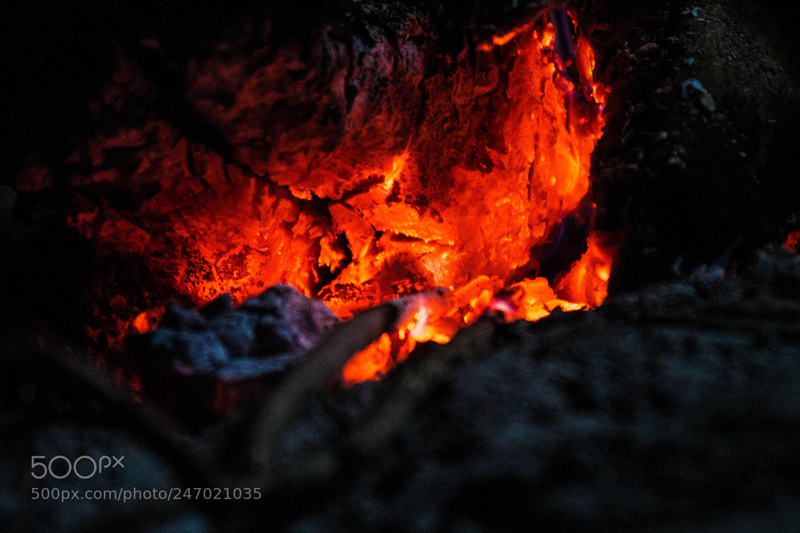 Nikon D610 sample photo. Untitled photography