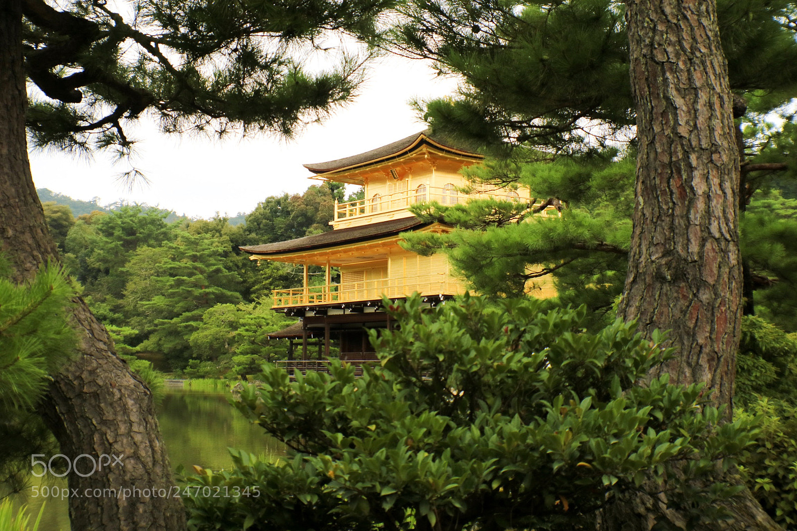 Canon EOS M3 sample photo. Timeless beauty photography