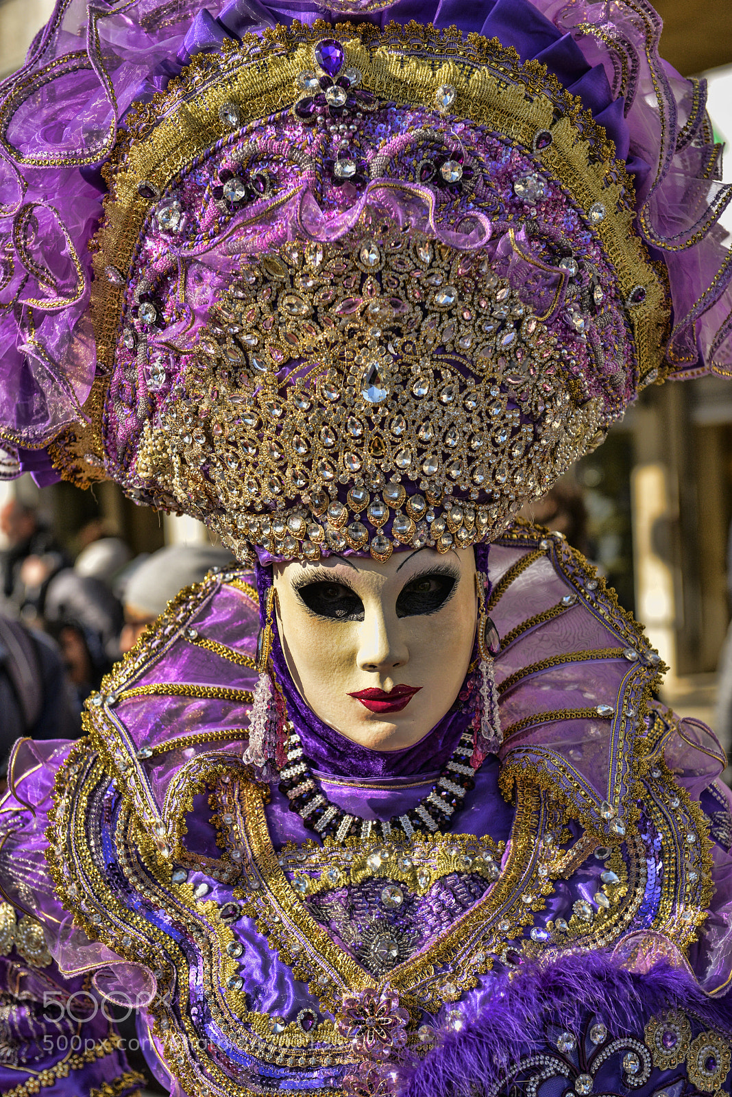Nikon D800 sample photo. Who is behind the photography