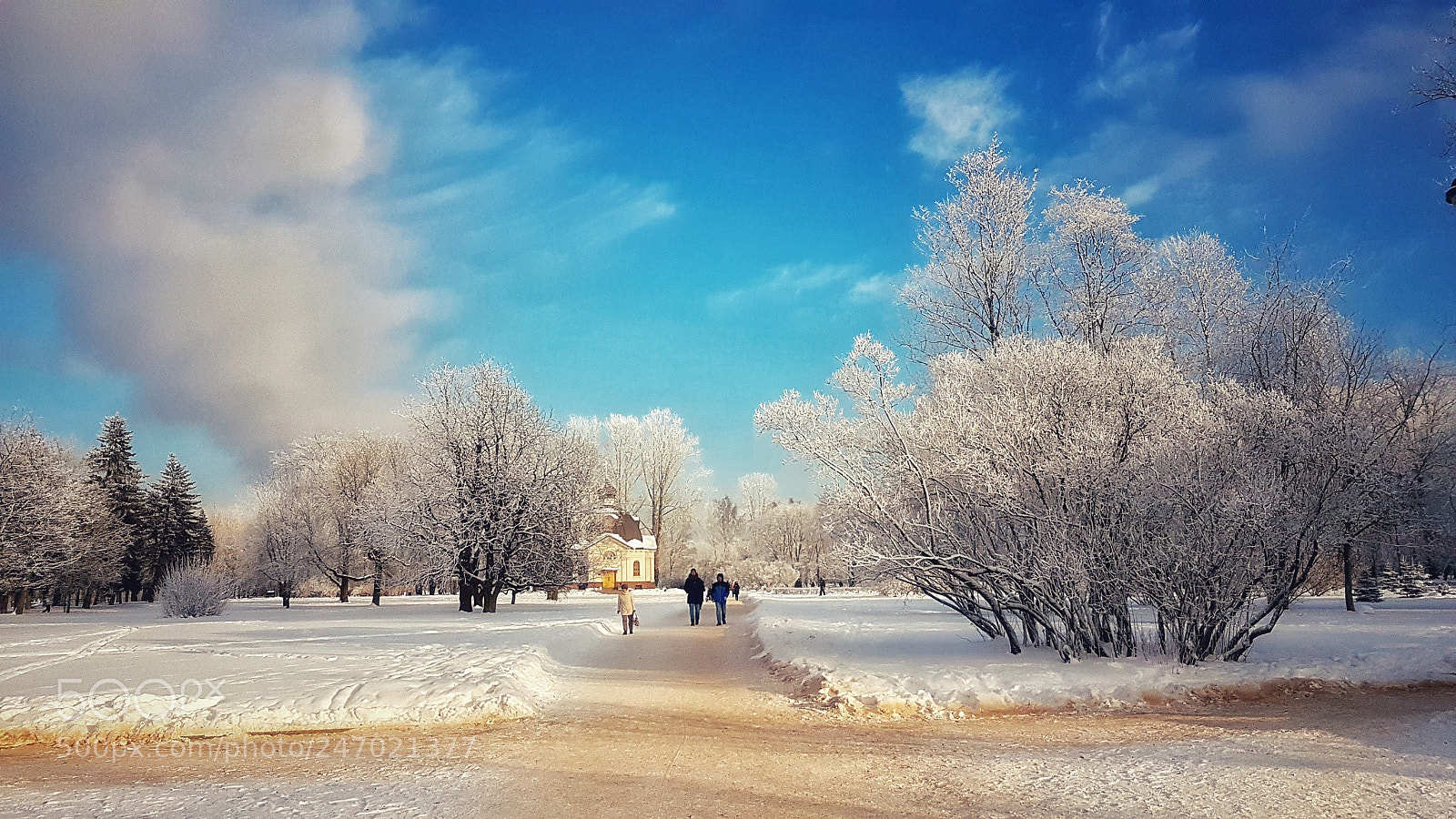 Samsung Galaxy S7 Edge sample photo. Winter scenery photography