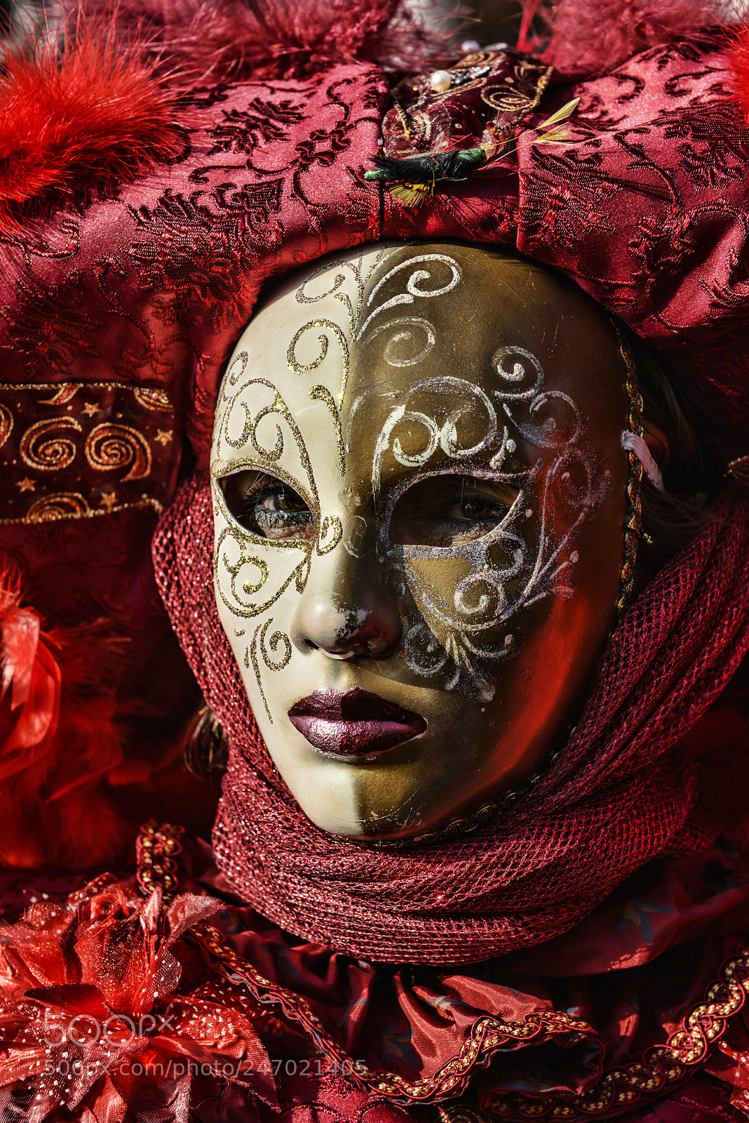 Nikon D800 sample photo. Who is behind the photography