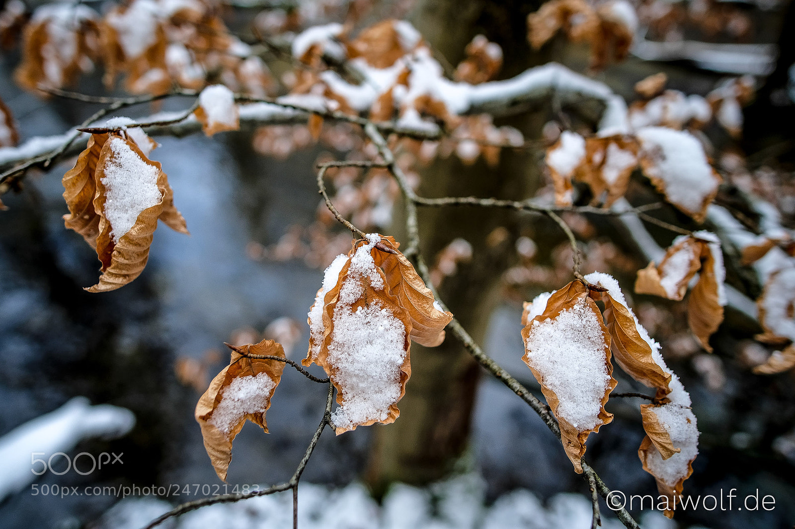 Fujifilm X-T20 sample photo. Entwickelt photography